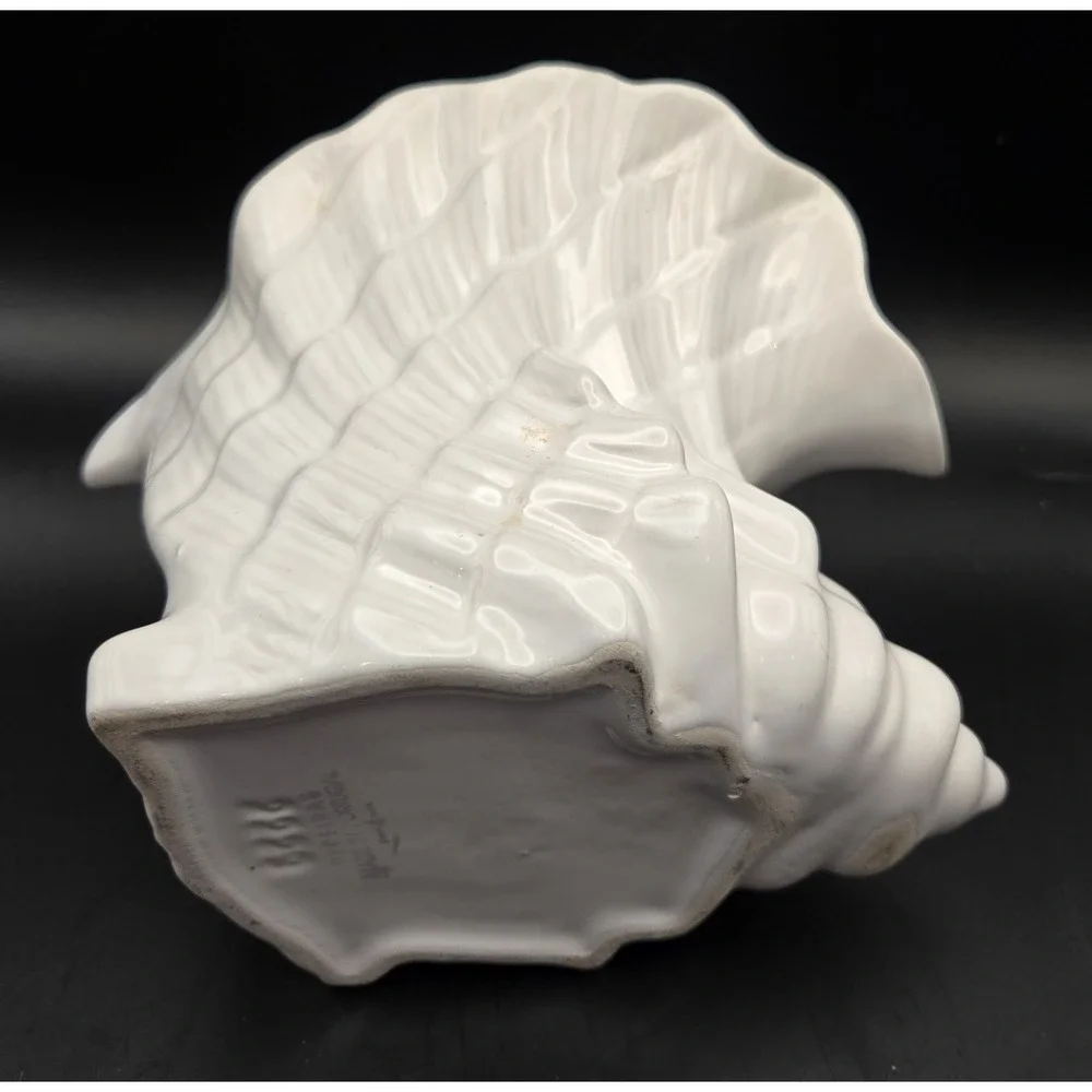 Pereias rare conch